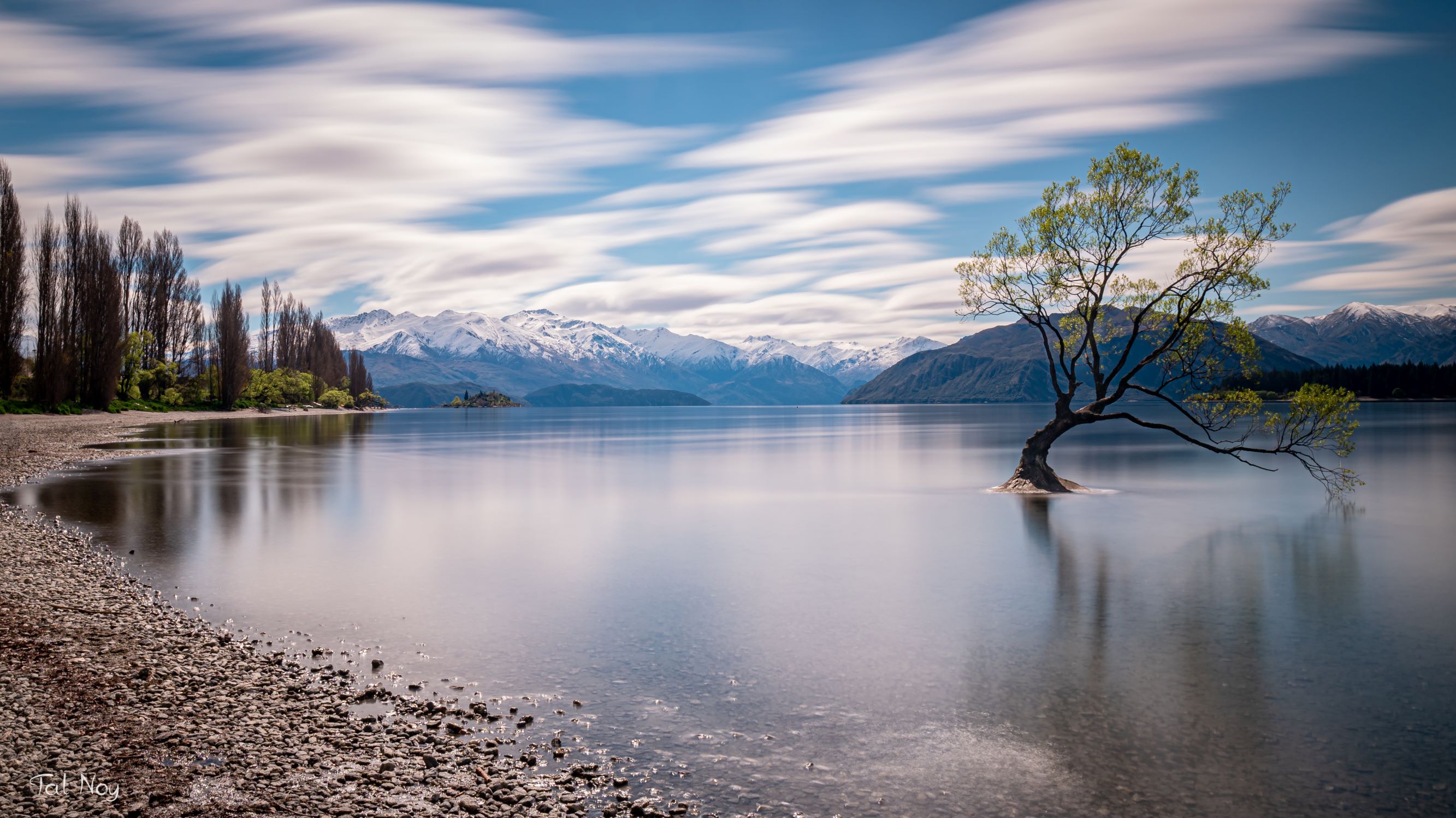 The iconic Wanaka tree with smoothed water from a long exposure and mountains in the background, New Zealand